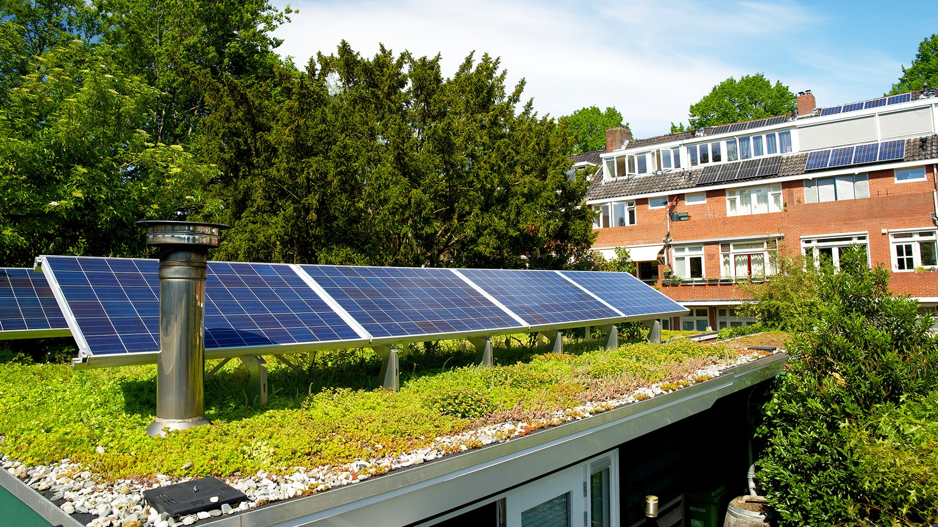 Acoperiș verde BIOSOLAR OxyRoof - Arhispec.ro!