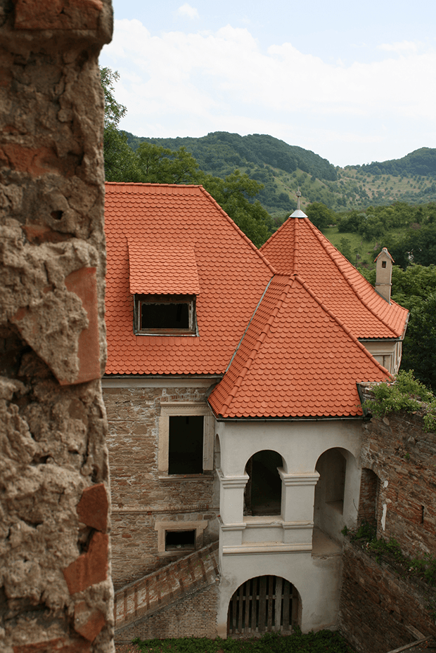Tigla ceramica Leier Bavaria