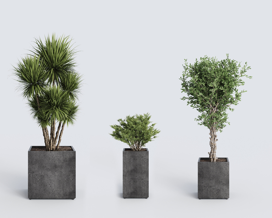 GHIVECE ȘI JARDINIERE PREMIUM DIN BETON