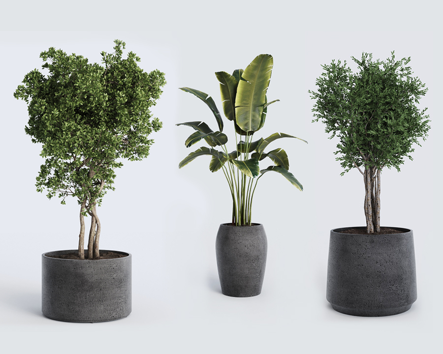 GHIVECE ȘI JARDINIERE PREMIUM DIN BETON