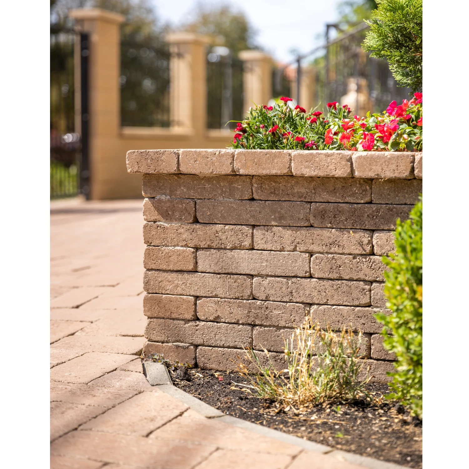 Pavaj antichizat Pațio