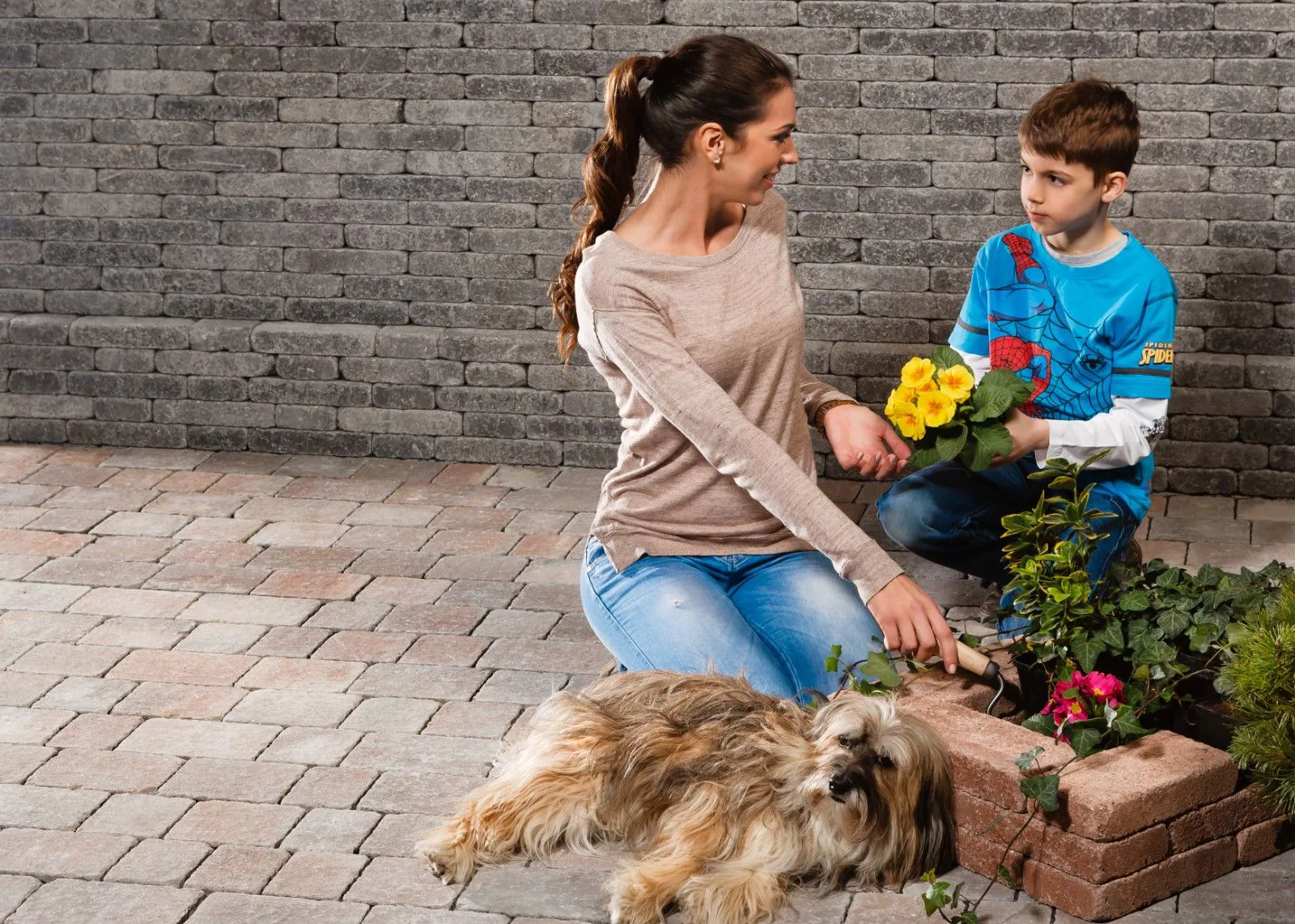 Pavaj antichizat Castrum Antik