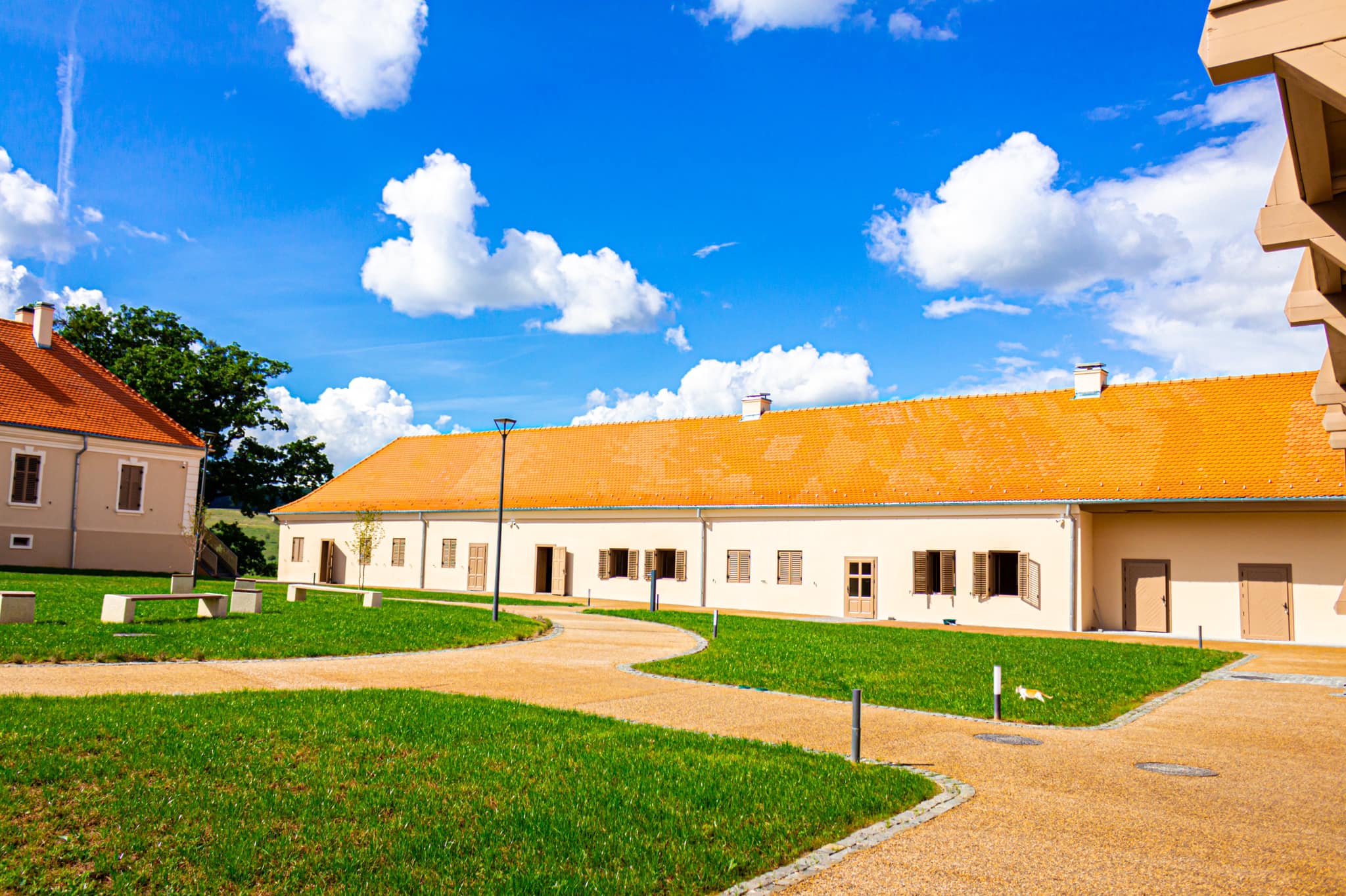 Pardoseli drenante din piatră - Conipave