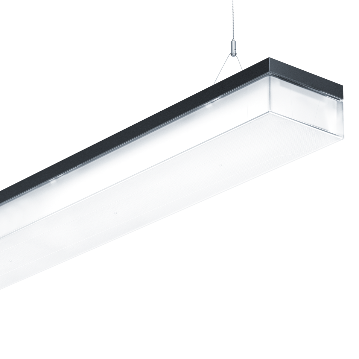 PERLUCE II